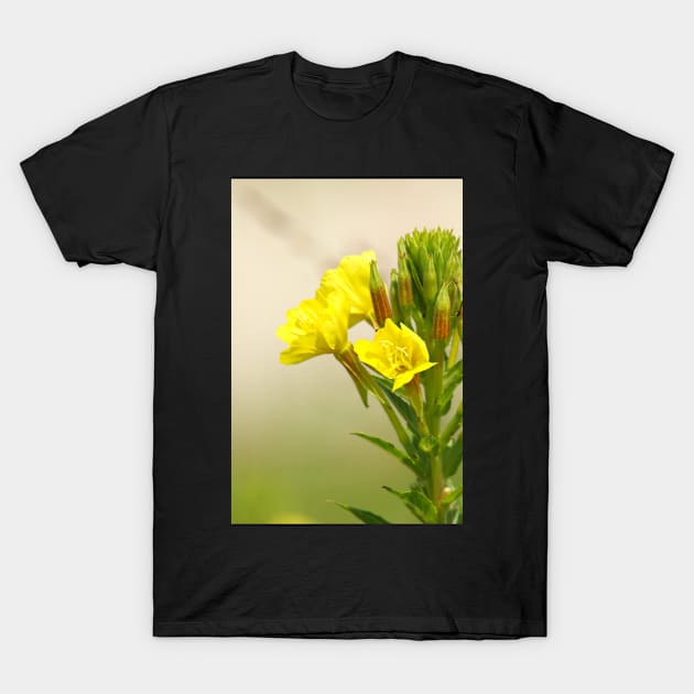 Yellow Wildflowers T-Shirt by BirdsnStuff